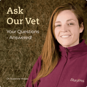 In-house vet & nutrition experts