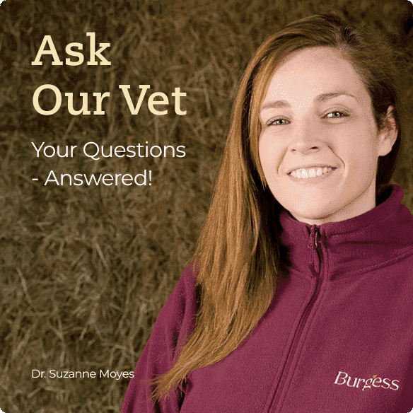 In-house vet & nutrition experts