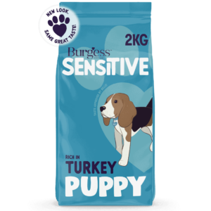 Feeding Your Dog Feeding Through Life Stages Burgess Pet Care