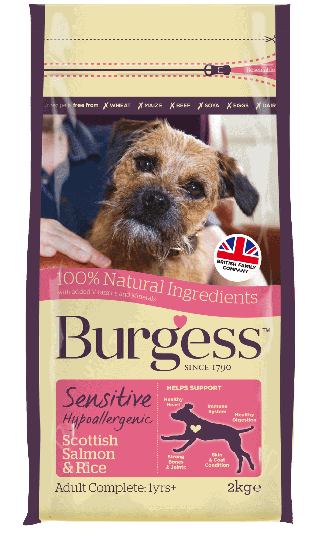 Sensitive Adult Dog Salmon & Rice Burgess Pet Care