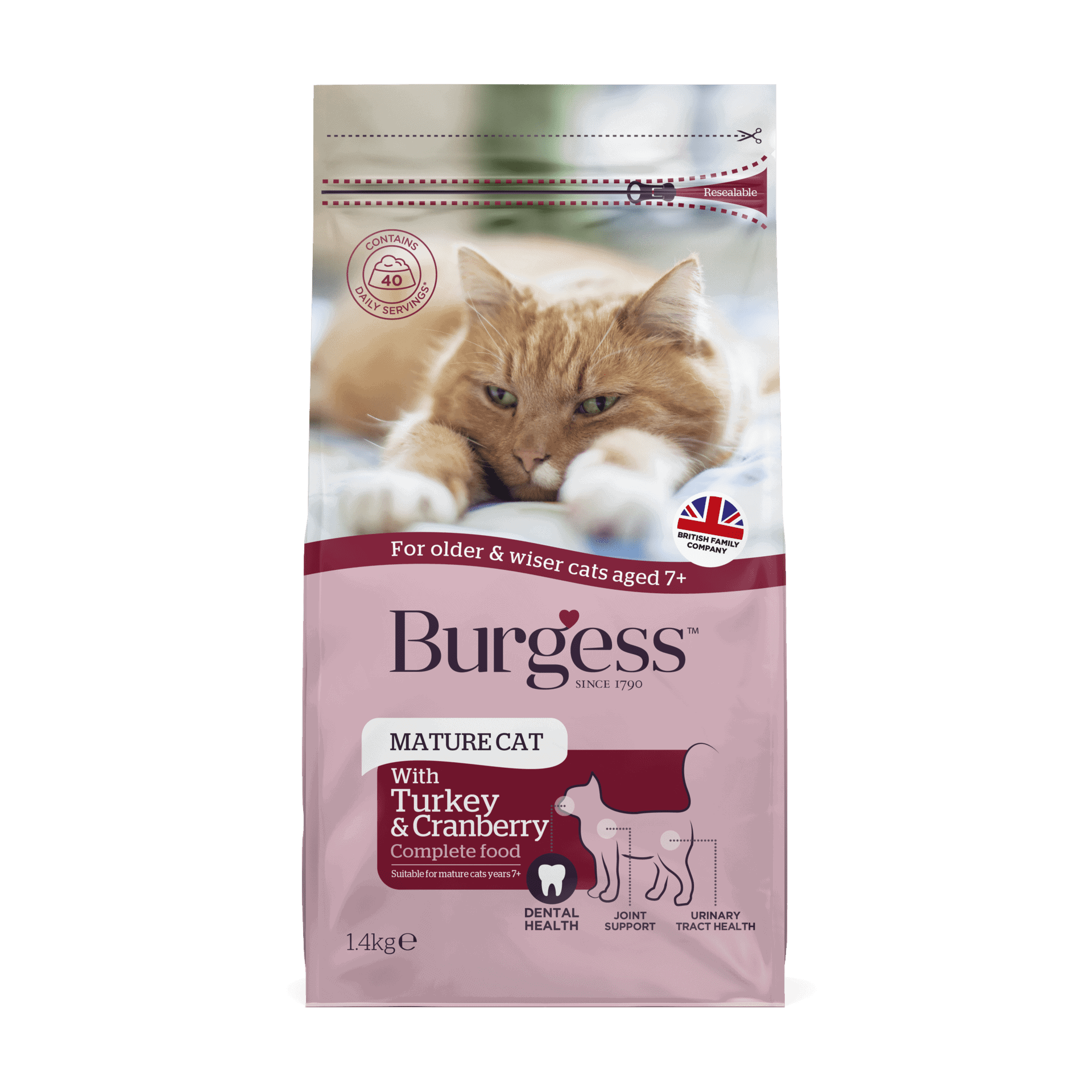 What Is In Cat Years Seeds yonsei ac kr