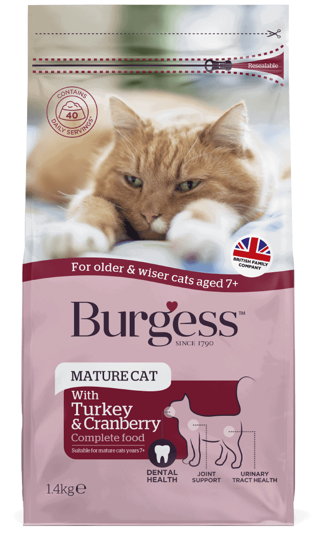 Cat Products-01
