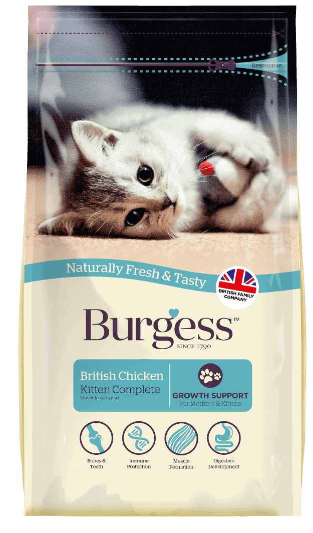 Cat Products-06