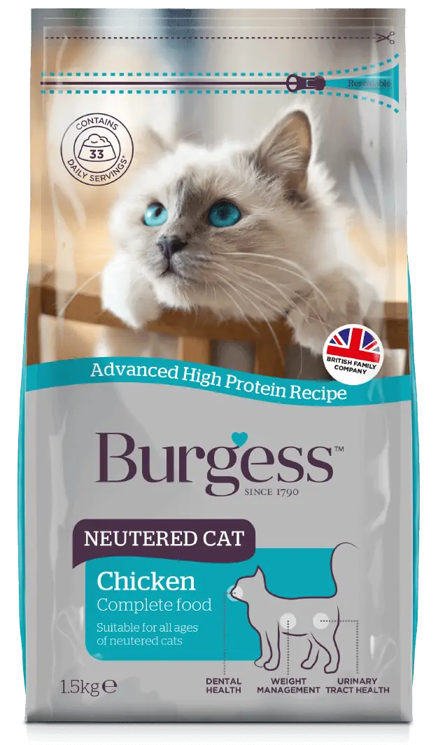 Cat Products-10