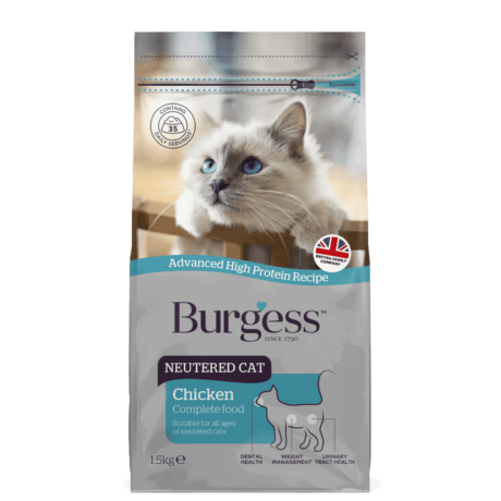 Cat Products-26