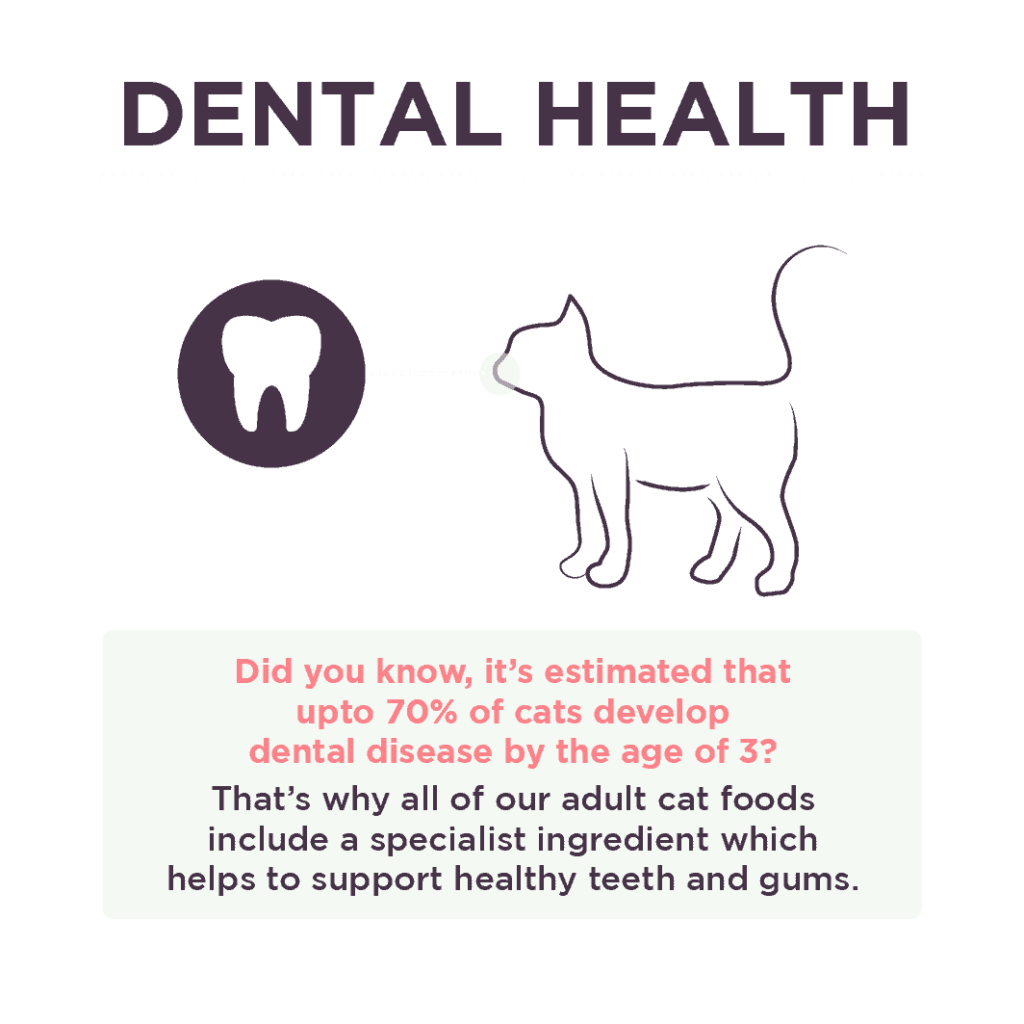 Burgess Adult Cat Rich in Salmon Burgess Pet Care