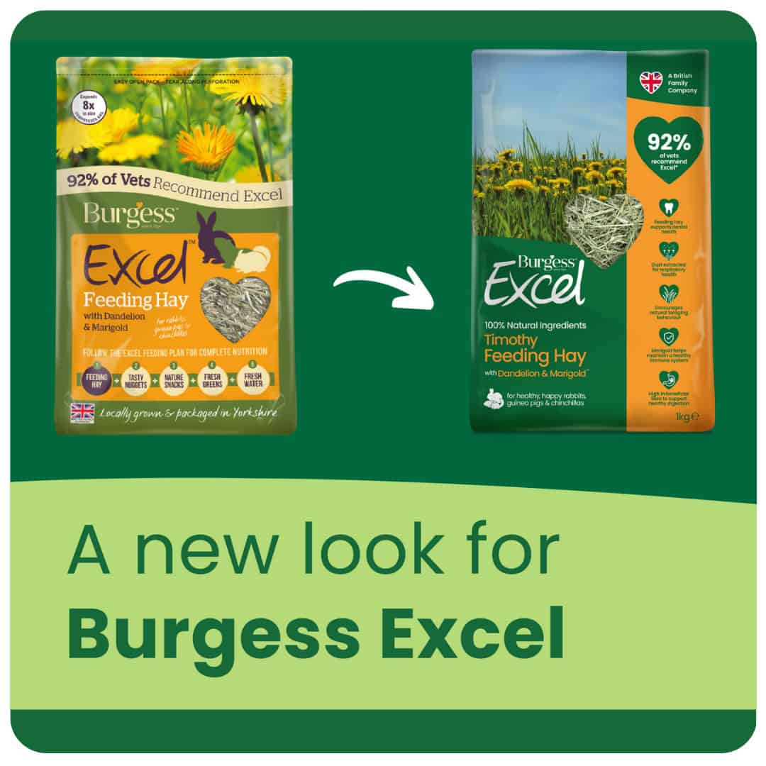 Excel Indoor Guinea Pig Nugget and Dandelion & Marigold Hay Bundle product image