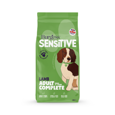 sensitive adult dog lamb