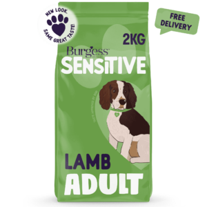 Sensitive Adult Dog Lamb