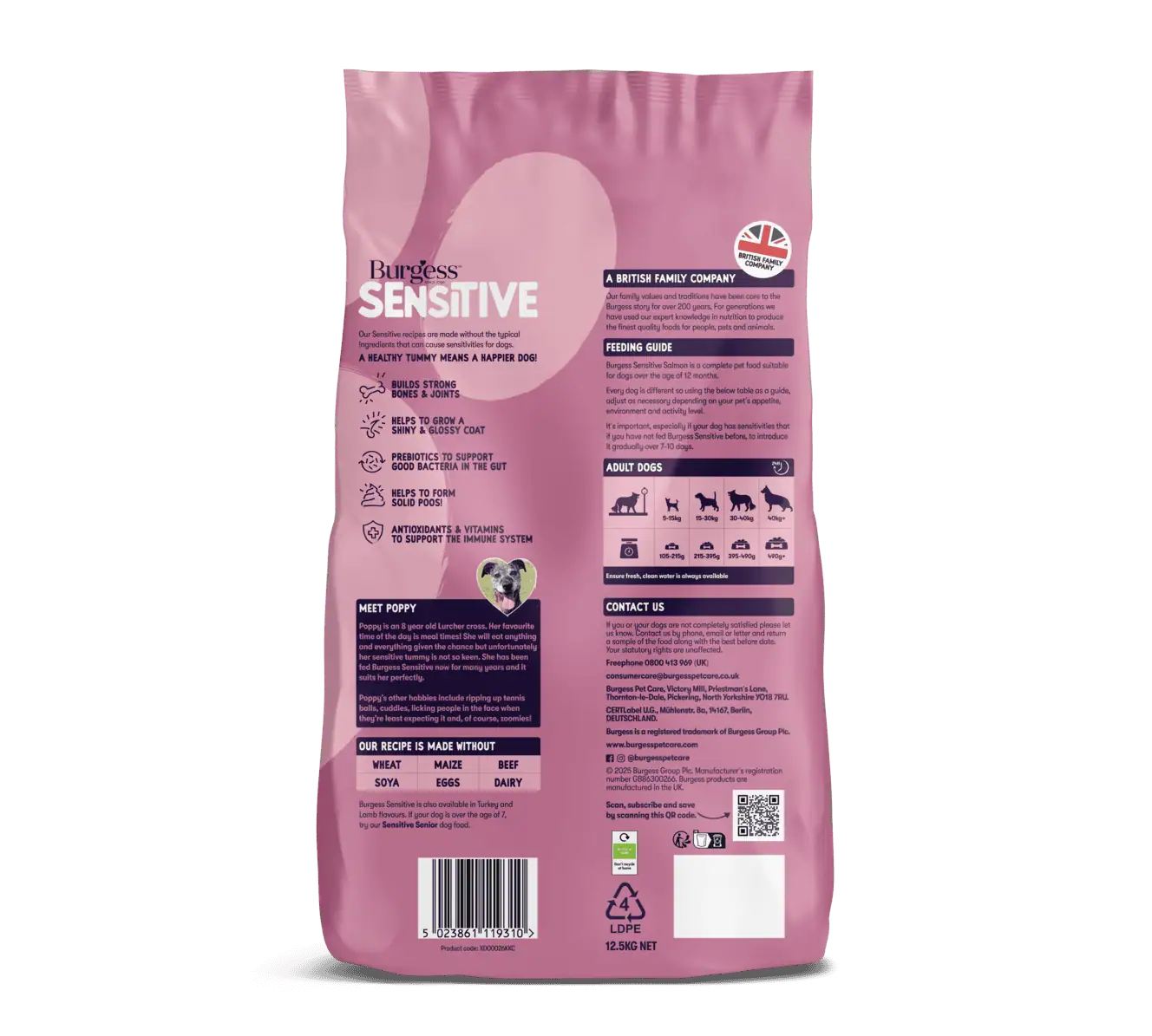 Sensitive Adult Dog Salmon product image