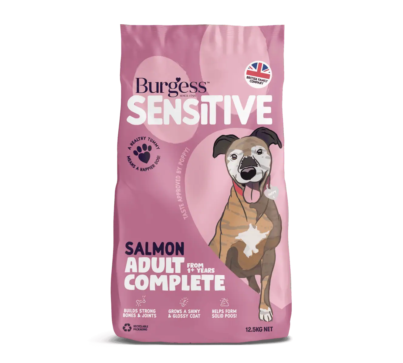 Sensitive Adult Dog Salmon product image