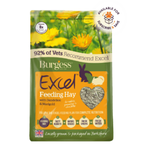 burgess excel junior