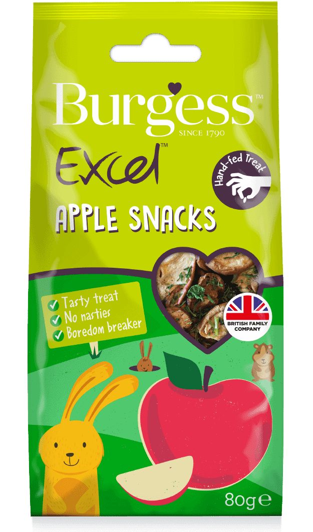 burgess excel