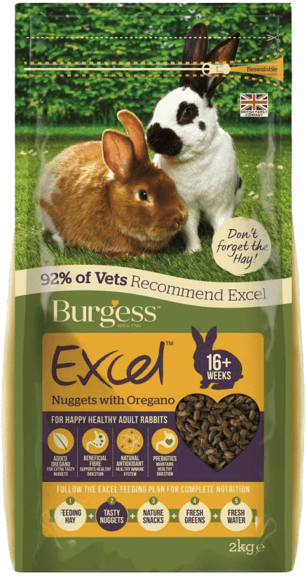 Featured Product