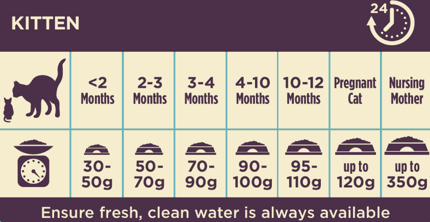 Cat feeding guidelines Burgess