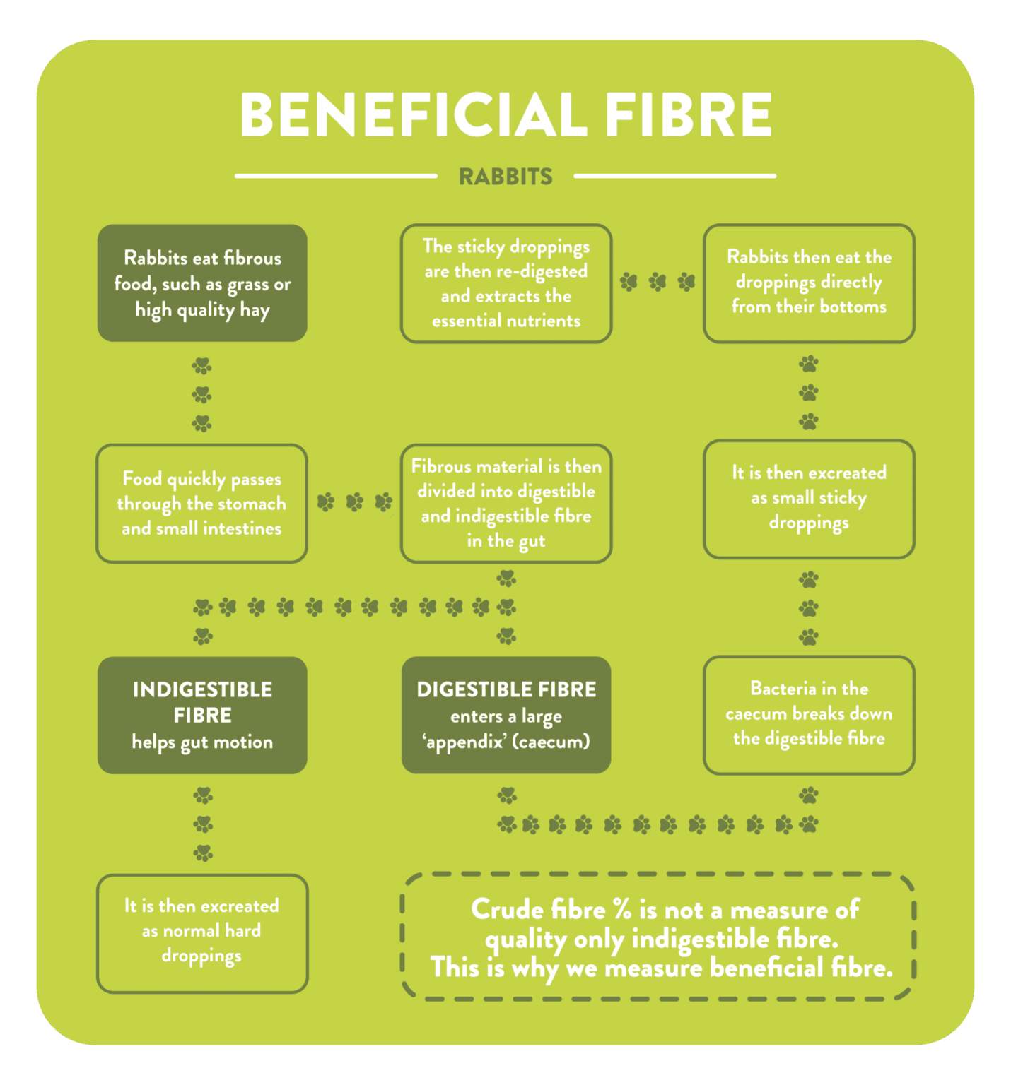 What Do Rabbits Eat Rabbit Foods & Diets Rabbit Feed Guide Burgess Pet Care