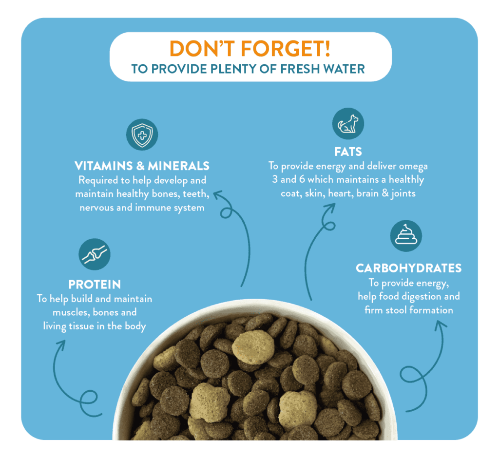 do dogs need fibre