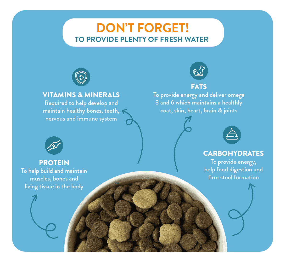 Dog Nutrition Guide What, when and how much to feed your dog
