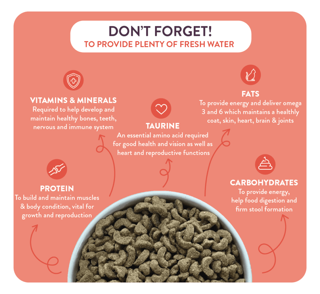 A Guide to Cat Diet & Nutrition Cat Diets Burgess Pet Car