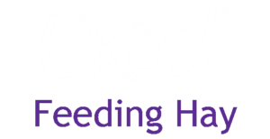 Panel Logo