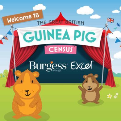 The truth about the UK’s guinea pigs
