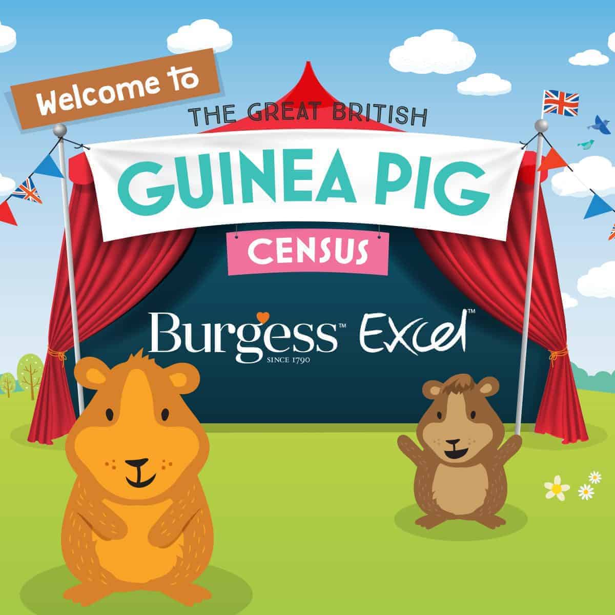 The truth about the UK’s guinea pigs