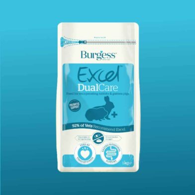 Excel Dual Care Recovery
