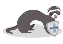 Canine distemper