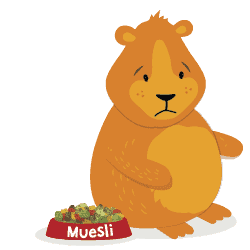 Obesity