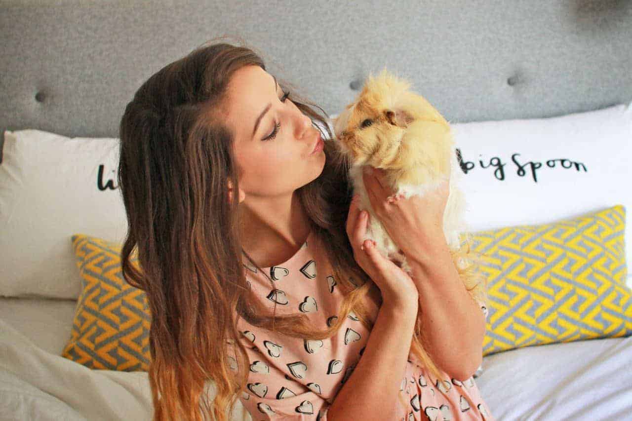 Excel Guinea Pig Nuggets Feature in Zoella's Christmas Videos