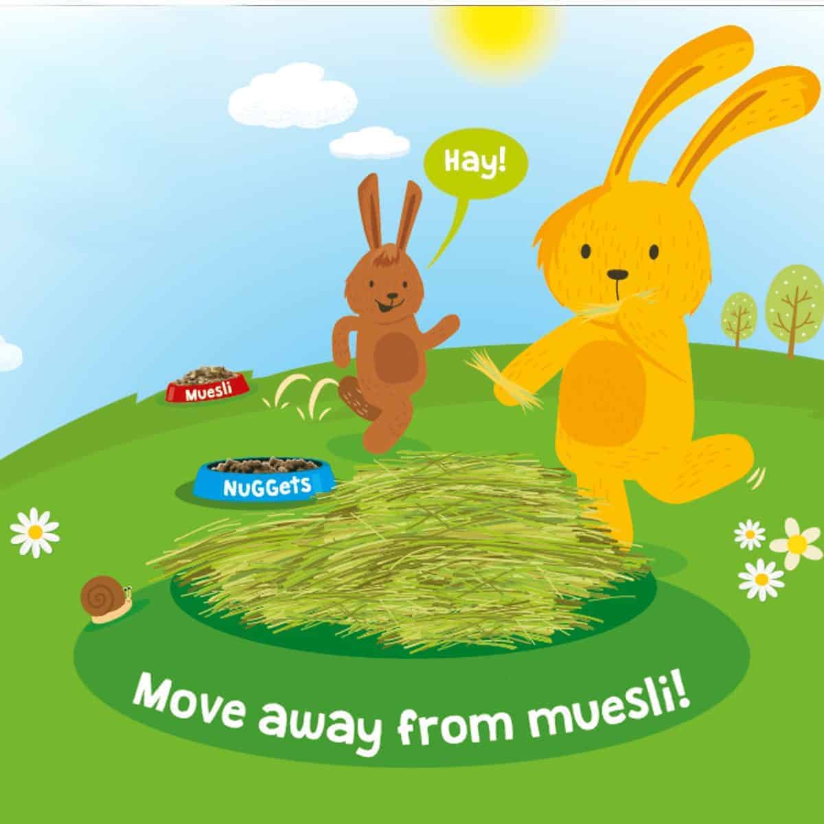 Calling all rabbit owners – find out why it’s time to Move Away from Muesli