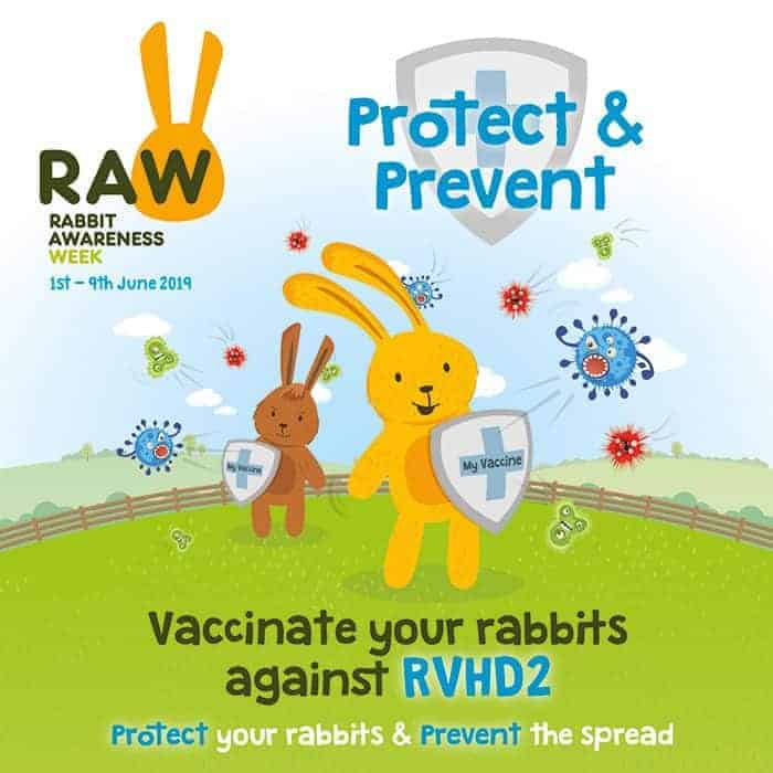 Protect & Prevent – your rabbits need you to take action now!