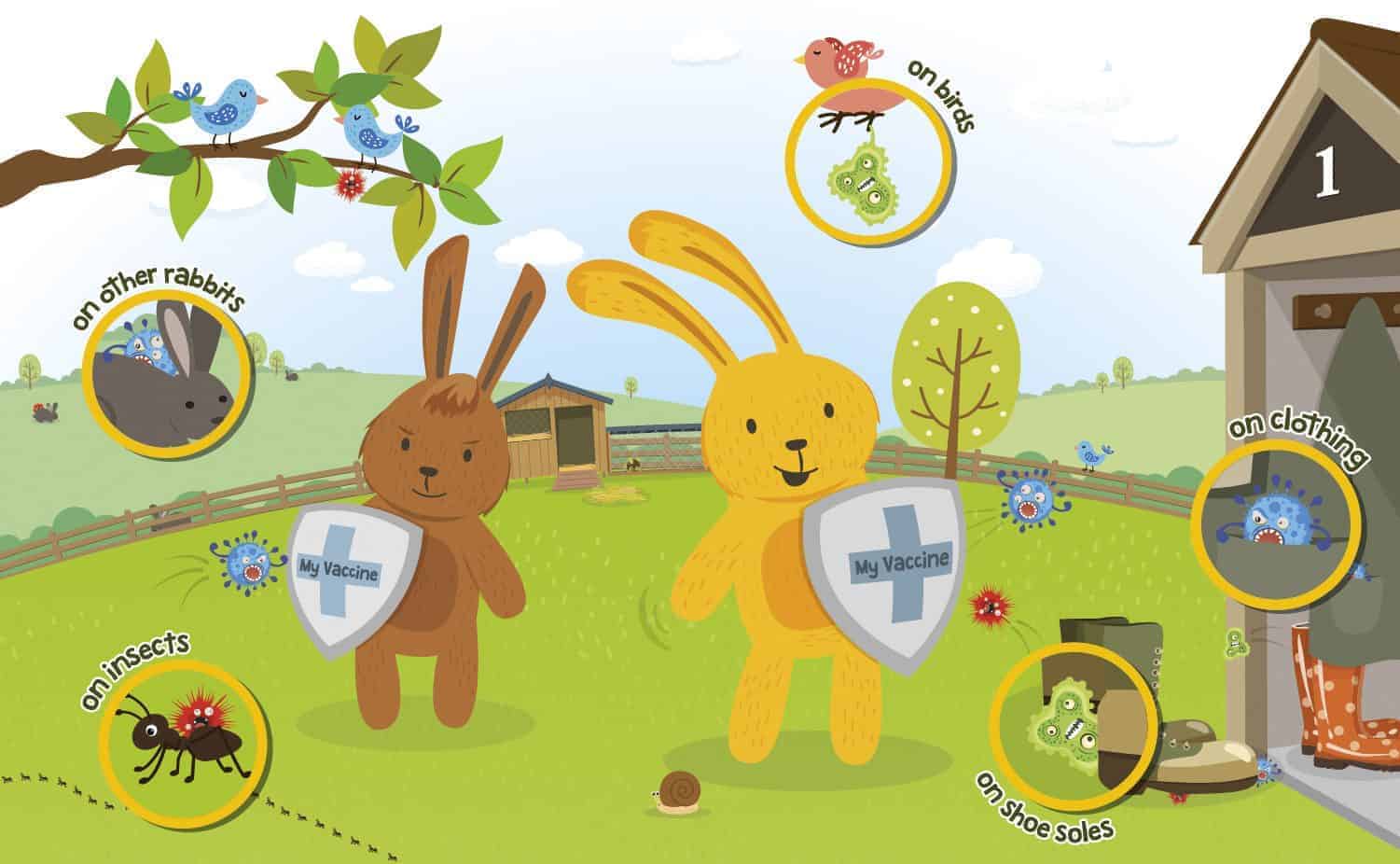 Get even closer to your bunnies during Rabbit Awareness Week