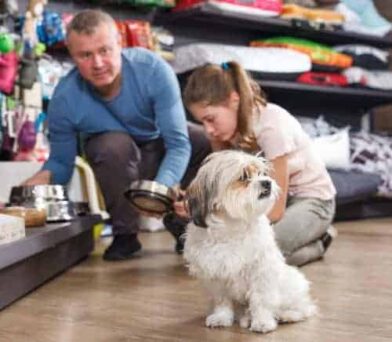 Why pets should never be an impulse buy
