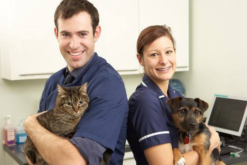 Neutering – one of those things on your ‘to do’ list?
