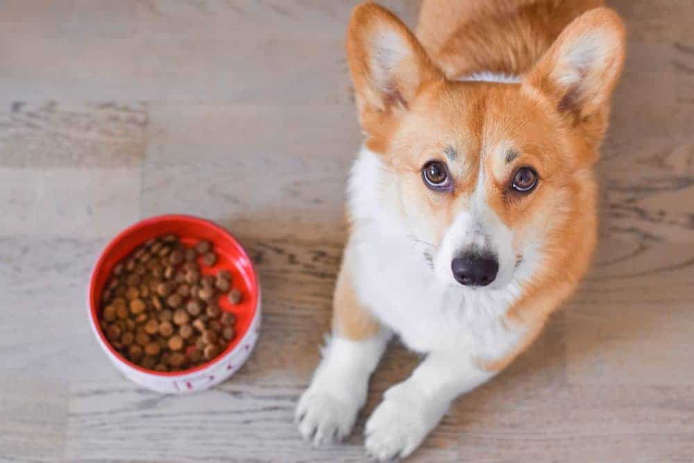 Food allergies under investigation