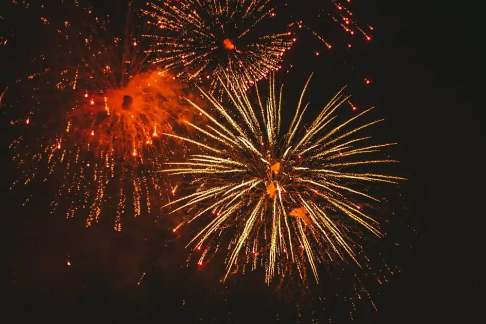 How to dial down the fear of firework season Burgess Pet Care