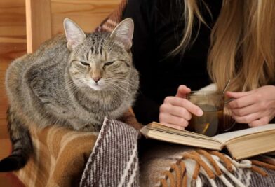 It’s official – pets help to relieve exam stress