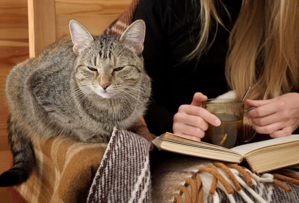 It’s official – pets help to relieve exam stress