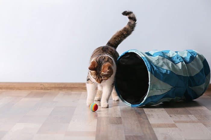 Indoor fun and games