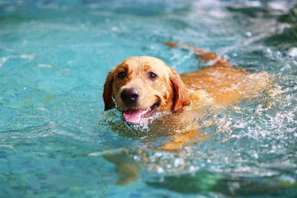 Wet and wild