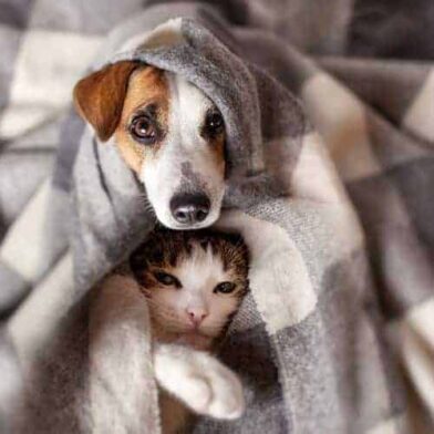 Wise up to winter colds and flu