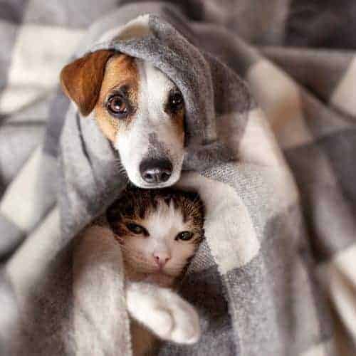 Wise up to winter colds and flu
