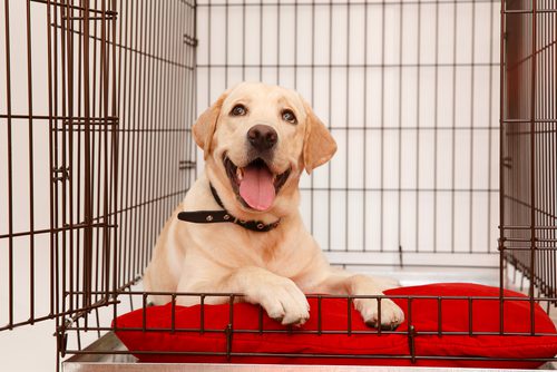 The great crate debate