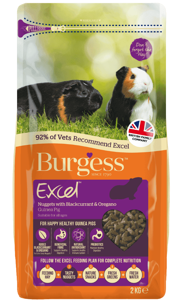 Small Animal Products-05