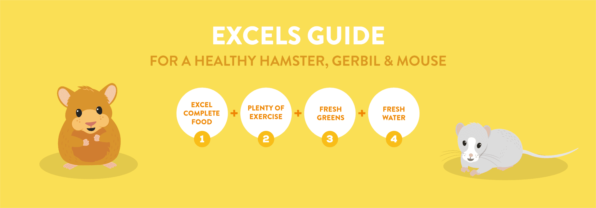 Product Info Graphic