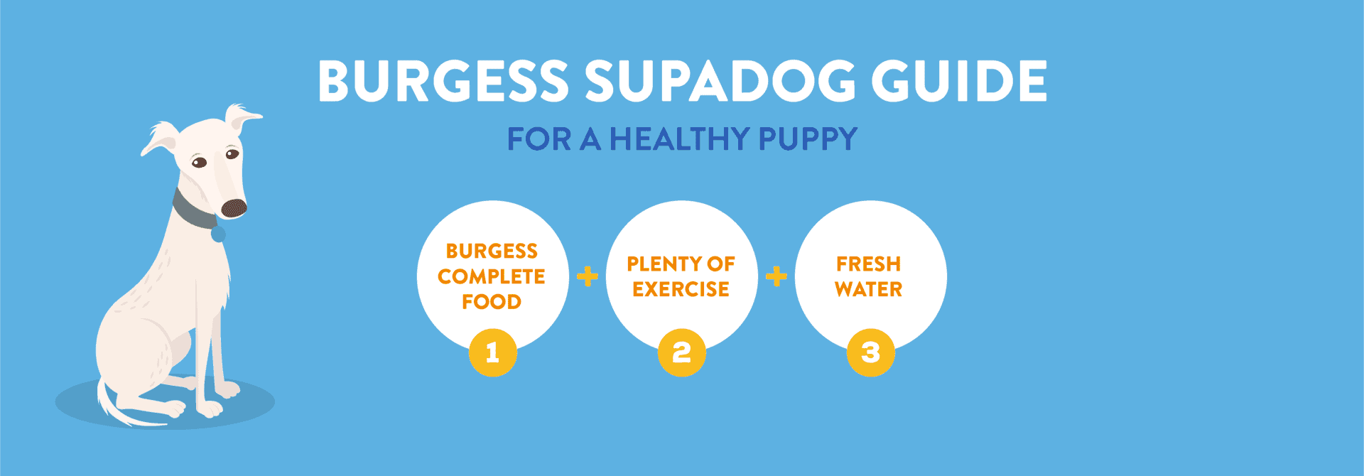 burgess supadog puppy