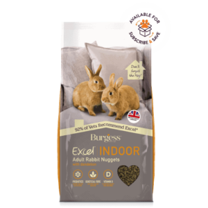 burgess excel junior