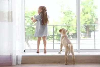 7 great ideas for parents at home with pets and small humans