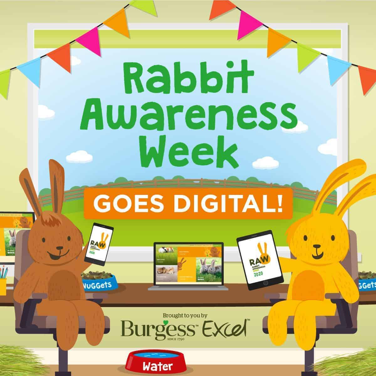 Join in a virtual festival of everything bunny